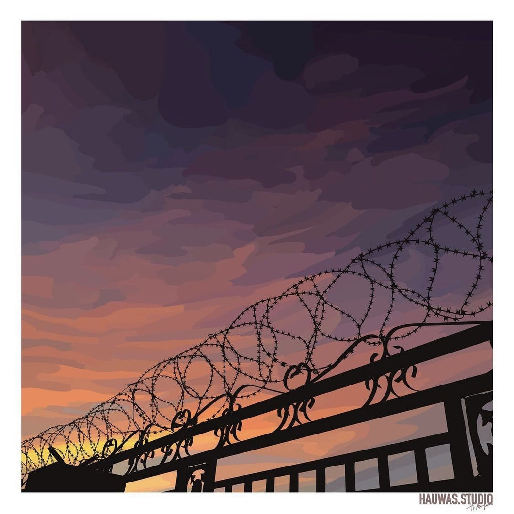 BARBED WIRE